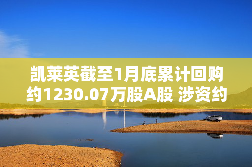 凯莱英截至1月底累计回购约1230.07万股A股 涉资约9.996亿元