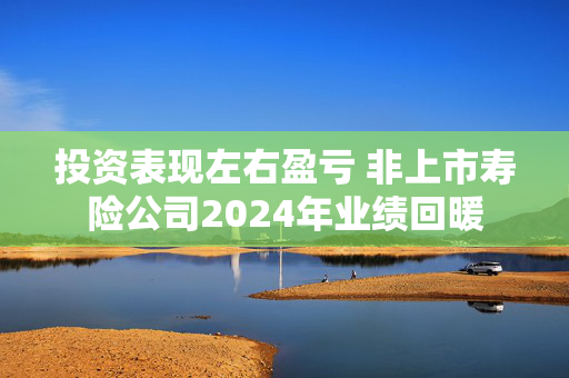 投资表现左右盈亏 非上市寿险公司2024年业绩回暖