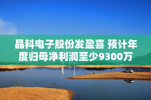 晶科电子股份发盈喜 预计年度归母净利润至少9300万元同比增长至少40%