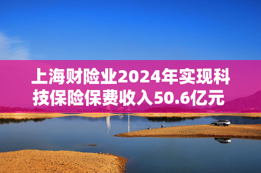 上海财险业2024年实现科技保险保费收入50.6亿元 保额超25万亿元