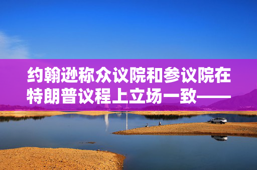 约翰逊称众议院和参议院在特朗普议程上立场一致——尽管策略不同