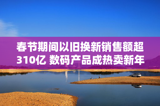 春节期间以旧换新销售额超310亿 数码产品成热卖新年货