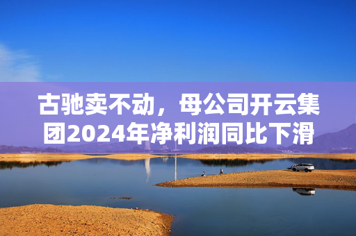 古驰卖不动，母公司开云集团2024年净利润同比下滑62%