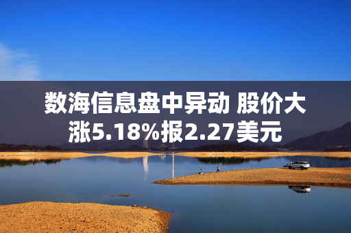 数海信息盘中异动 股价大涨5.18%报2.27美元