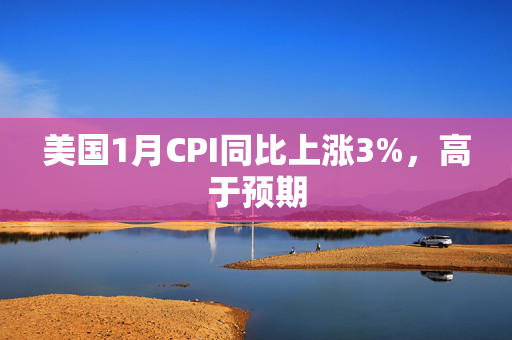 美国1月CPI同比上涨3%，高于预期