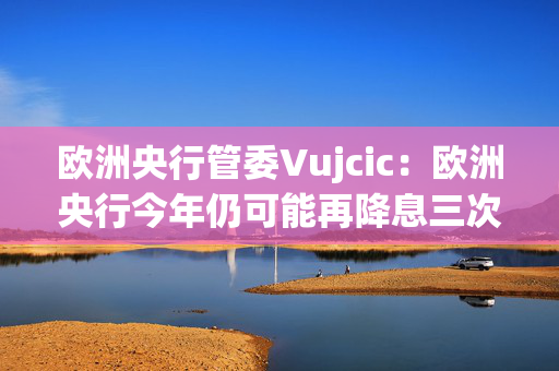 欧洲央行管委Vujcic：欧洲央行今年仍可能再降息三次，即使美联储放缓脚步