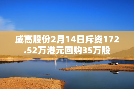 威高股份2月14日斥资172.52万港元回购35万股