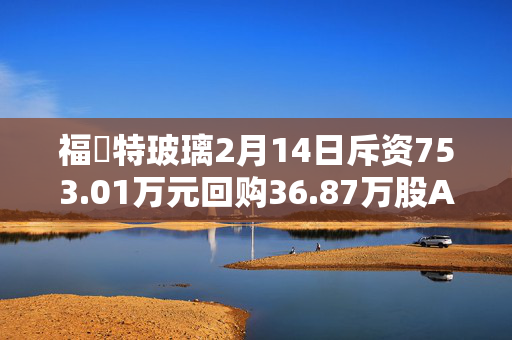 福萊特玻璃2月14日斥资753.01万元回购36.87万股A股