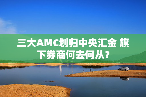 三大AMC划归中央汇金 旗下券商何去何从？