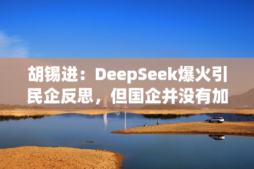 胡锡进：DeepSeek爆火引民企反思，但国企并没有加入这一波“反思潮”