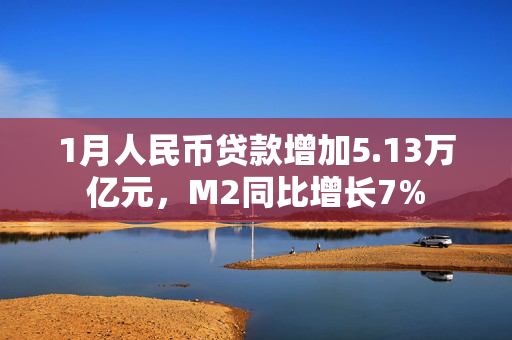 1月人民币贷款增加5.13万亿元，M2同比增长7%