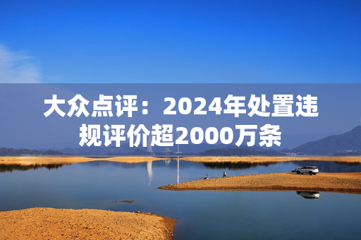 大众点评：2024年处置违规评价超2000万条