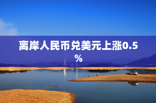 离岸人民币兑美元上涨0.5%