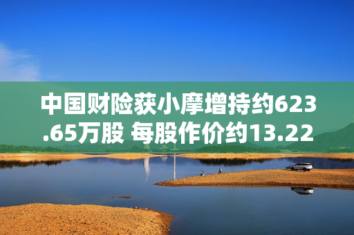 中国财险获小摩增持约623.65万股 每股作价约13.22港元