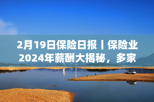 2月19日保险日报丨保险业2024年薪酬大揭秘，多家险企宣布接入DeepSeek，新会计准则下人身险公司净利润大增