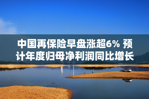 中国再保险早盘涨超6% 预计年度归母净利润同比增长约80%至100%