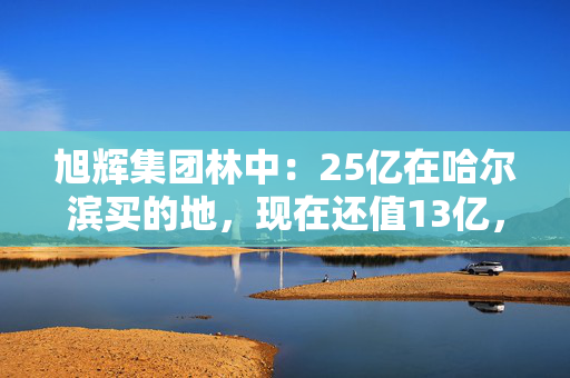 旭辉集团林中：25亿在哈尔滨买的地，现在还值13亿，所以不敢开盘