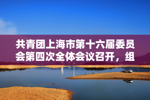 共青团上海市第十六届委员会第四次全体会议召开，组织动员青年挺膺担当施展才干