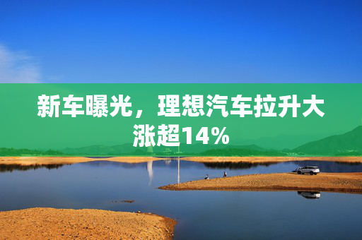 新车曝光，理想汽车拉升大涨超14%