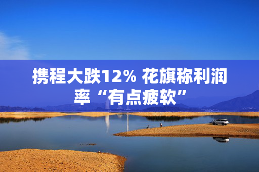 携程大跌12% 花旗称利润率“有点疲软”