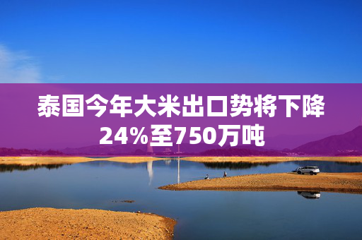 泰国今年大米出口势将下降24%至750万吨