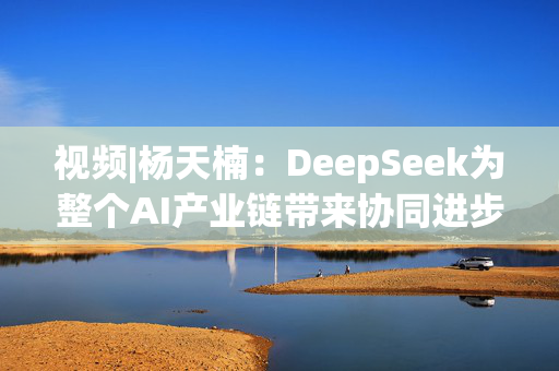 视频|杨天楠：DeepSeek为整个AI产业链带来协同进步的新机会