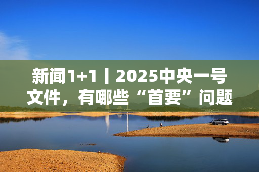 新闻1+1丨2025中央一号文件，有哪些“首要”问题？