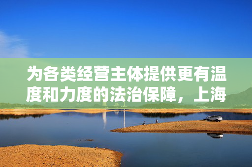 为各类经营主体提供更有温度和力度的法治保障，上海市长要求加快建设法治政府