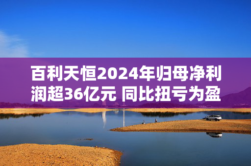 百利天恒2024年归母净利润超36亿元 同比扭亏为盈