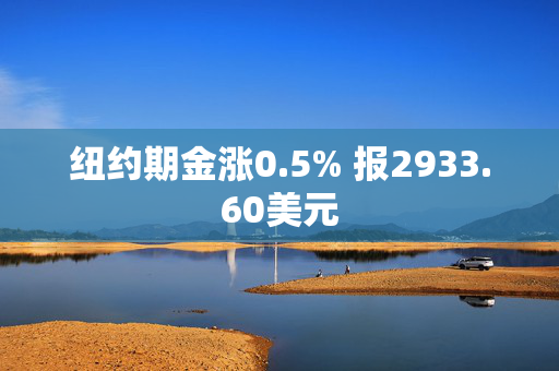 纽约期金涨0.5% 报2933.60美元