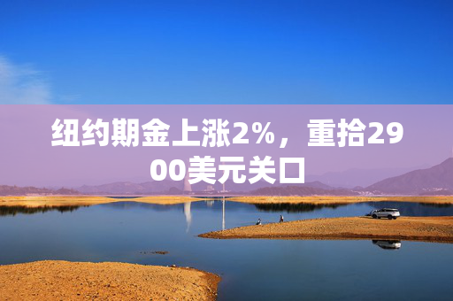 纽约期金上涨2%，重拾2900美元关口