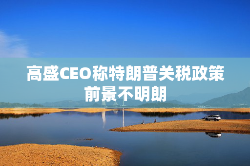 高盛CEO称特朗普关税政策前景不明朗