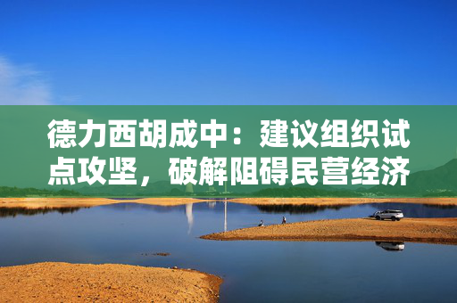 德力西胡成中：建议组织试点攻坚，破解阻碍民营经济发展的若干问题