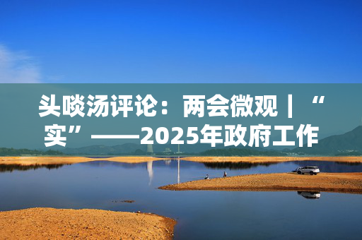 头啖汤评论：两会微观｜“实”——2025年政府工作报告中最温暖的字