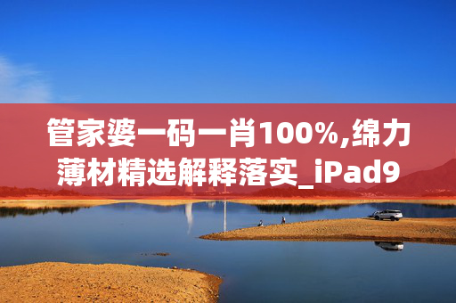 管家婆一码一肖100%,绵力薄材精选解释落实_iPad91.9.9