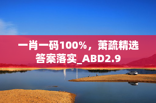 一肖一码100%，萧疏精选答案落实_ABD2.9