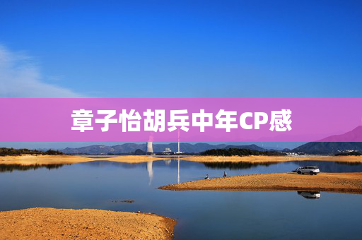 章子怡胡兵中年CP感