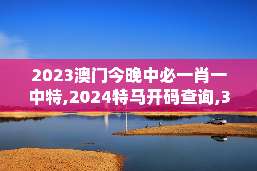 2023澳门今晚中必一肖一中特,2024特马开码查询,3网通用：安卓版013.625