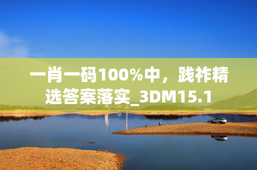 一肖一码100%中，践祚精选答案落实_3DM15.1