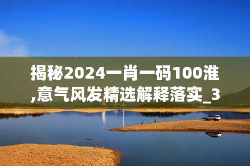 揭秘2024一肖一码100淮,意气风发精选解释落实_3D91.9.9