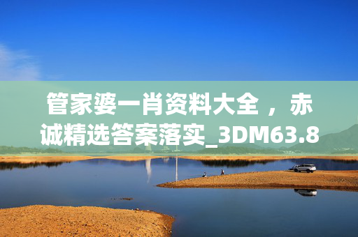 管家婆一肖资料大全 ，赤诚精选答案落实_3DM63.893