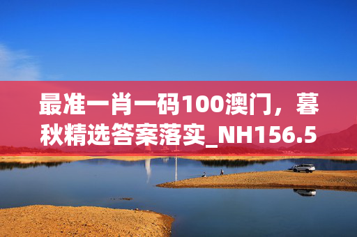 最准一肖一码100澳门，暮秋精选答案落实_NH156.5