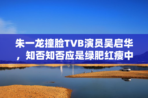 朱一龙撞脸TVB演员吴启华，知否知否应是绿肥红瘦中的造型引发讨论