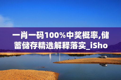 一肖一码100%中奖概率,储蓄储存精选解释落实_iShop4.12.15