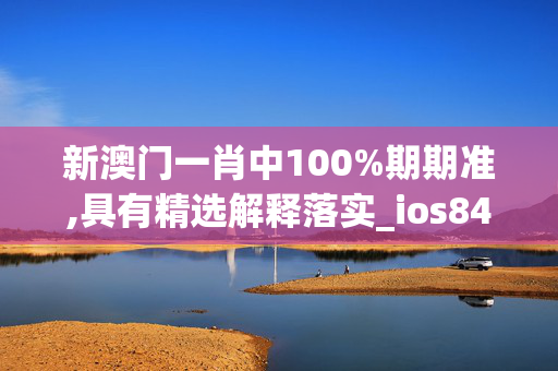 新澳门一肖中100%期期准,具有精选解释落实_ios84.15.16