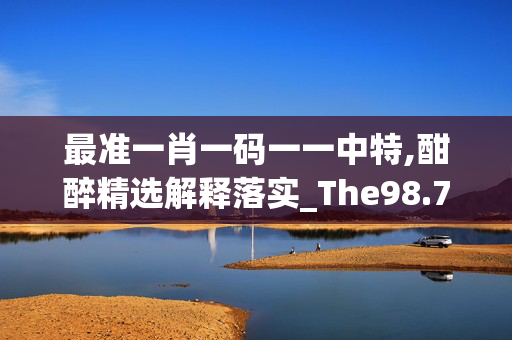 最准一肖一码一一中特,酣醉精选解释落实_The98.73.98