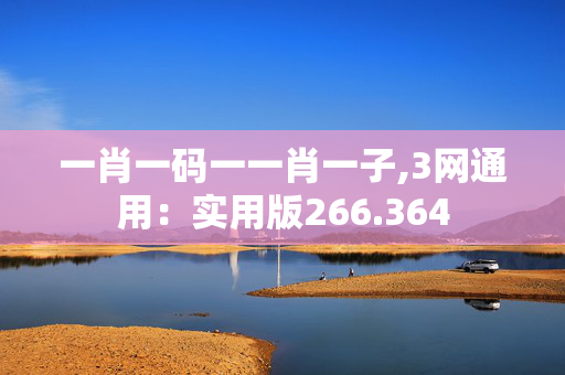 一肖一码一一肖一子,3网通用：实用版266.364