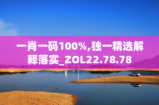 一肖一码100%,独一精选解释落实_ZOL22.78.78