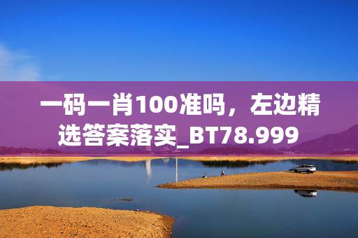 一码一肖100准吗，左边精选答案落实_BT78.999