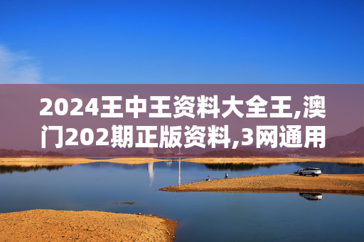 2024王中王资料大全王,澳门202期正版资料,3网通用：安装版v188.332